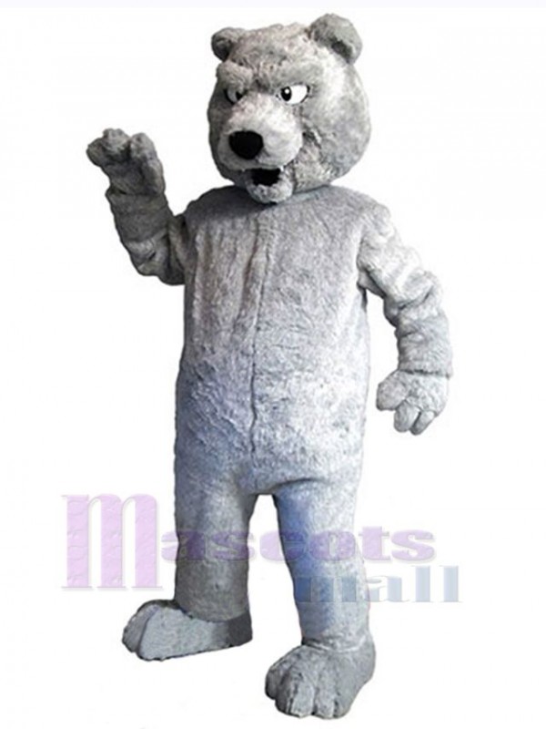 Ours costume de mascotte