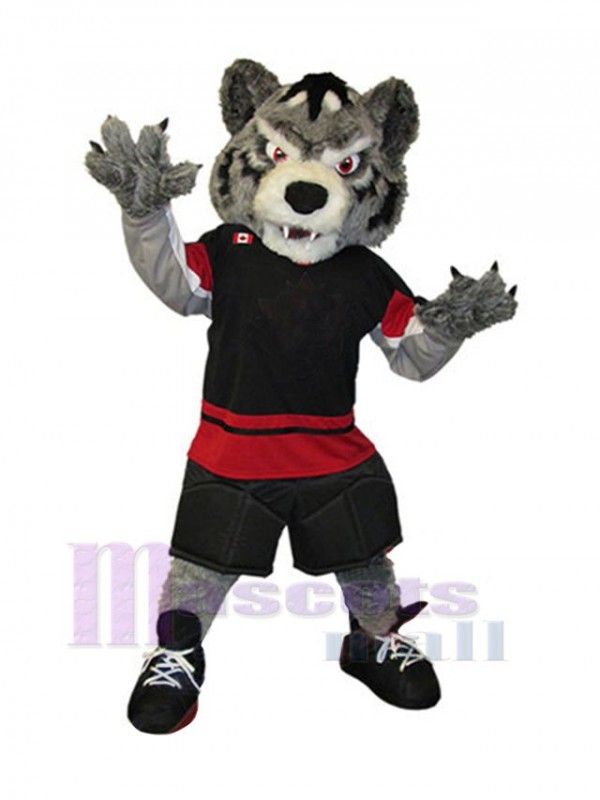 Loup costume de mascotte