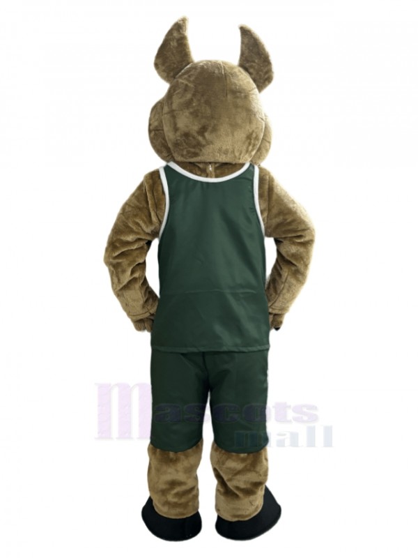 Coyote costume de mascotte