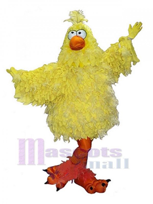 Poulet costume de mascotte