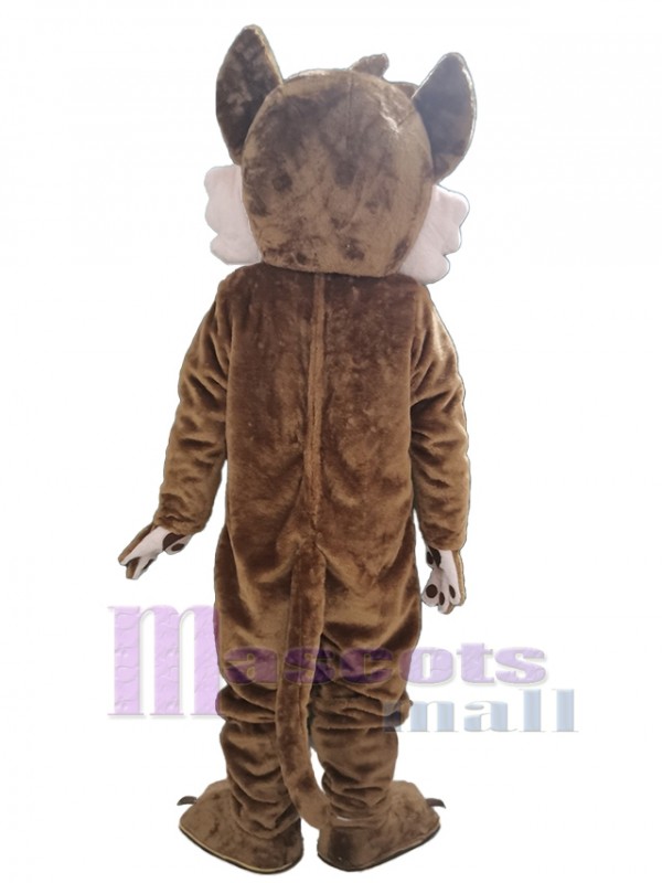 Coyote costume de mascotte