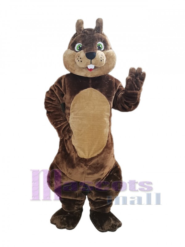 Écureuil costume de mascotte