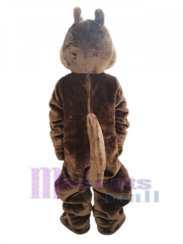 Écureuil costume de mascotte