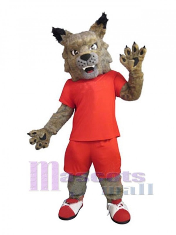 Chat costume de mascotte