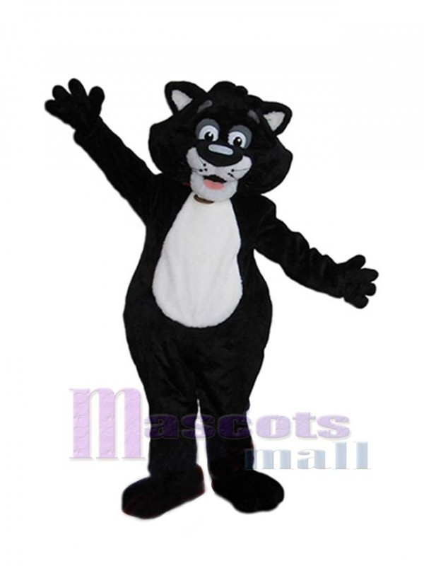 Chat costume de mascotte