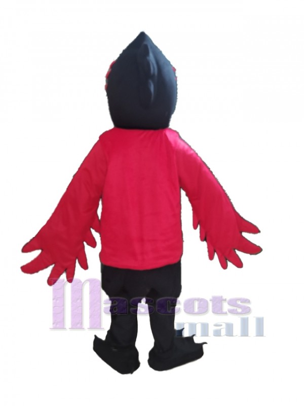 Corbeau costume de mascotte