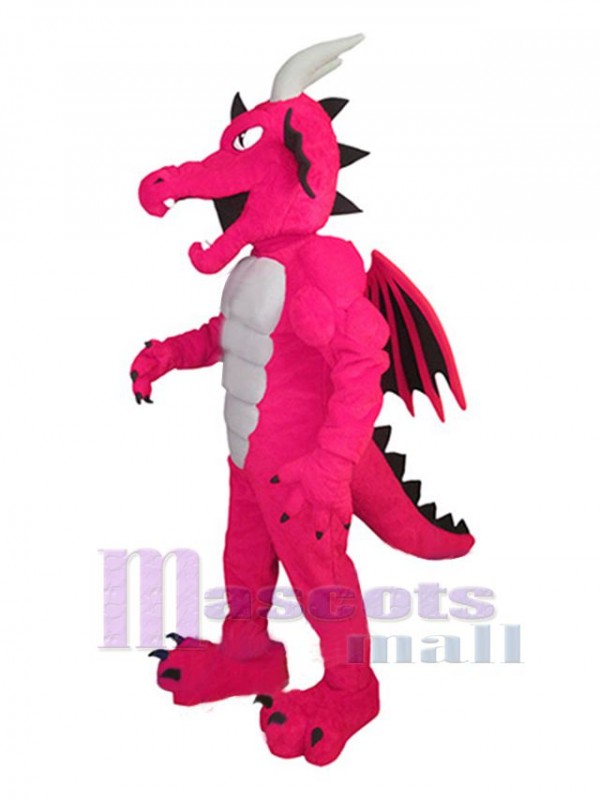 Dragon costume de mascotte