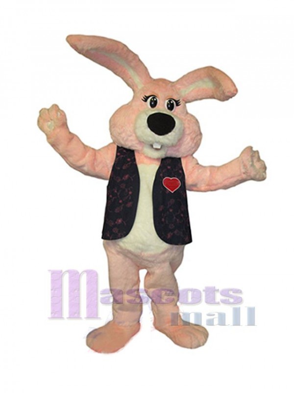 Lapin de Pâques costume de mascotte