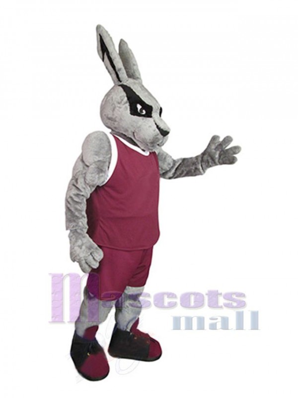 Lapin de Pâques costume de mascotte