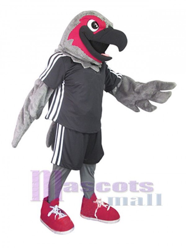 Faucon costume de mascotte