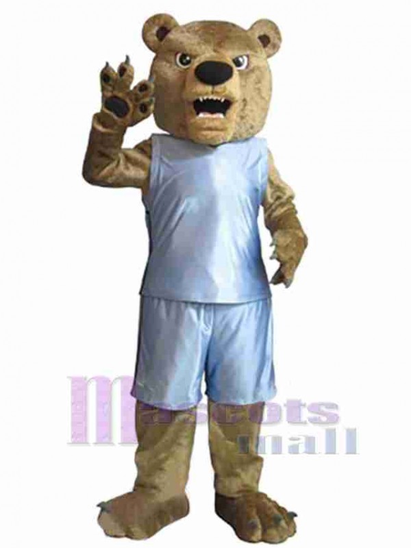 Ours costume de mascotte
