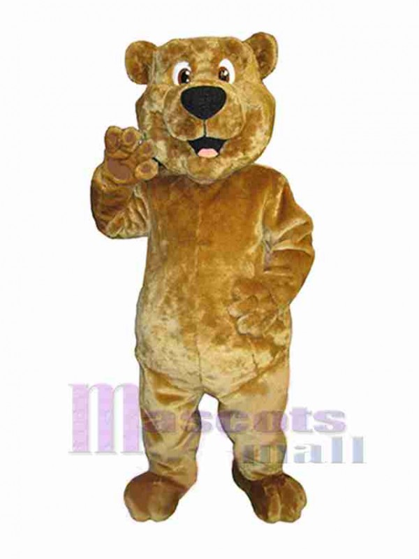 Ours costume de mascotte