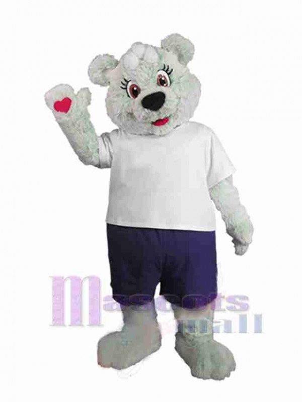 Ours costume de mascotte