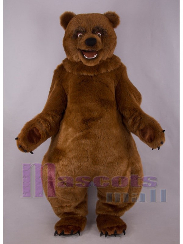 Ours costume de mascotte