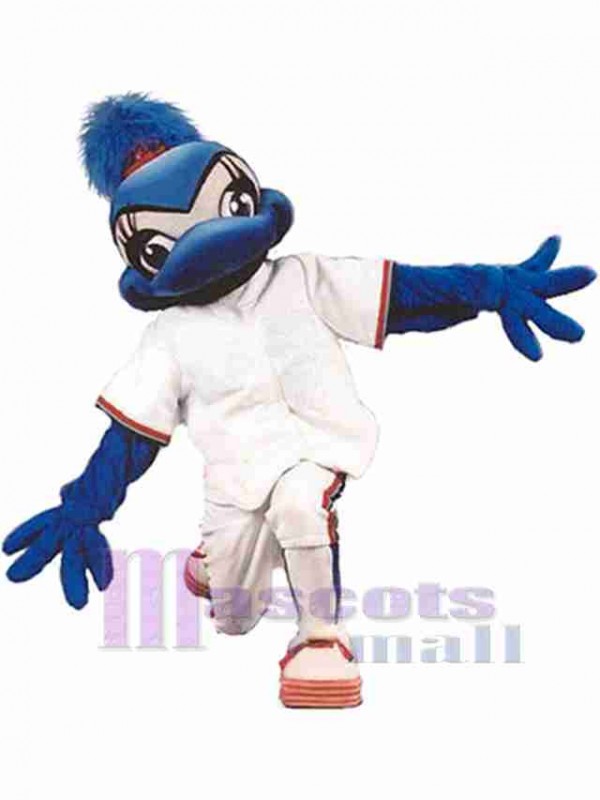 Oiseau costume de mascotte