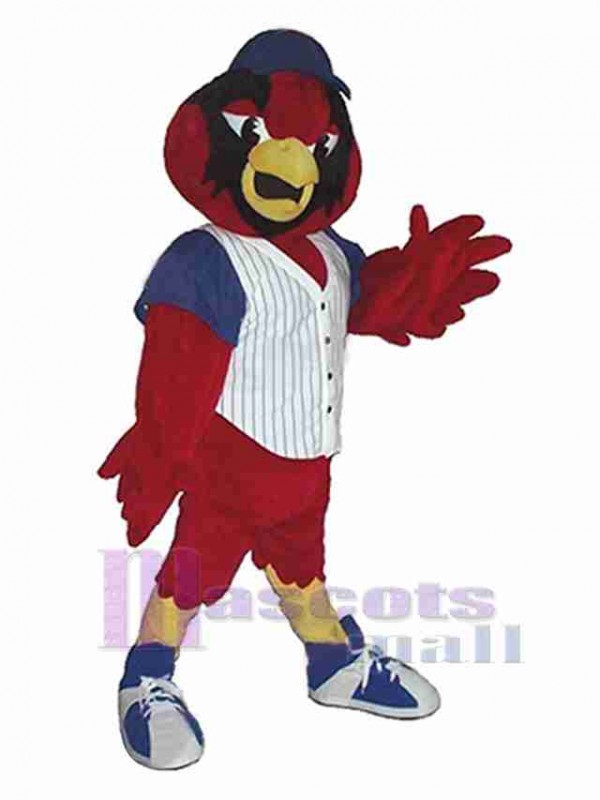Oiseau costume de mascotte