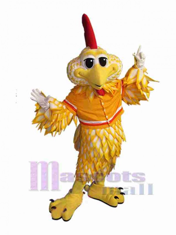 Oiseau costume de mascotte