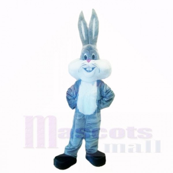 Gris Poids léger lapin avec Longue Oreille Costumes De Mascotte Dessin animé