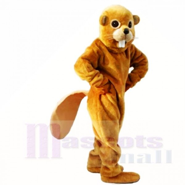 Amical Jaune Poids léger Castor Costumes De Mascotte Adulte