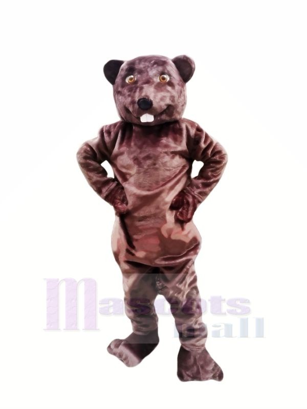 Heureux Castor Mascotte Les costumes Adulte