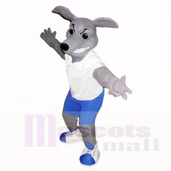 Levrette Chien Avec blanc Chemise Costumes De Mascotte École