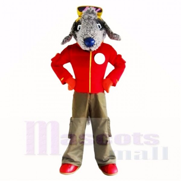 Gris Bedlington Chien avec rouge Chemise Costumes De Mascotte École